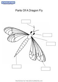 Maybe you would like to learn more about one of these? Label And Color The Parts Of A Dragonfly Worksheets For Kindergarten First Second Grade Science Worksheets Schoolmykids Com