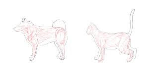 Please, like the video and subscribe to this channel!these videos are here to help i. How To Draw Dogs And Cats How To Draw Dogs And Cats In Moving Poses Medibang Paint