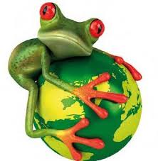 Día Internacional de la Diversidad Biológica - Recíclame