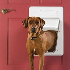 A microchip will not only keep your pet safe, but also serve as a house key for them. The Best Electronic Dog Doors Of 2021 Pet Life Today