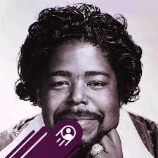 What are the best video quality cameras for podcasting that allow up to  30-60 minute video recording?