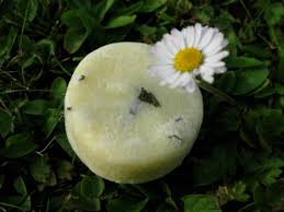 Hier stelle ich dir 13 unterschiedliche rezepte vor. Shampoo Bars Einfach Gut Gutes Tun To Go