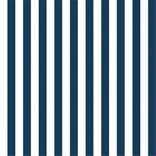 Pin By Daniela Perez Castaneda On Striped Wallpaper In 2020 Riley Blake Designs Riley Blake Quilt Material