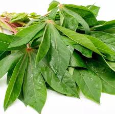 Tumis bumbu halus sampai wangi. Cara Membuat Gulai Daun Singkong Lezat Seenak Masakan Padang