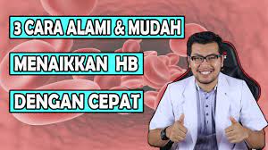 Dalam sesetengah kes, ibu hamil akan mengalami hb rendah. 3 Cara Menaikan Hb Hemoglobin Rendah Pada Ibu Hamil Youtube