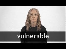 Vulnerable Definition And Meaning Collins English Dictionary