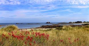 Drop Box Bretagne Nord Cote De Granit Rose Bretagne