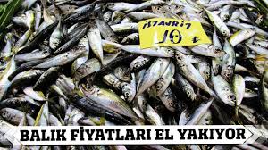 Balik Fiyatlari El Yakiyor Youtube