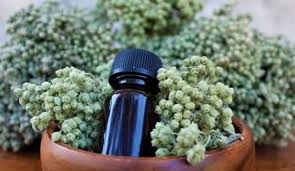 Hobi market 25.296 lượt xem2 năm trước. Bircok Hastaliga Iyi Gelen Kekik Yagi Binlerce Yildir Antibiyotik Olarak Kullanilmaktadir Ozellikle Cilt Hastaliklarina Iyi Gelen Kekik Zerdecal Bitki Mantar