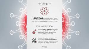 Jun 23, 2021 · the variant, identified locally as delta plus, was found in 16 cases in the state of maharashtra, federal health secretary rajesh bhushan told a news conference. Covid 19 Here S What We Know So Far About Delta Plus Variant