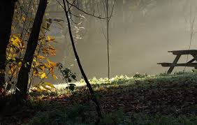 Resultado de imagen de parque de invierno, senda verde oviedo