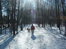 We did not find results for: Winter Hiking With Your Dog In Upstate New York Wellnesste Cabin Rentals Wedding Venue In Ny