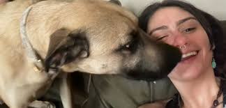 Dog walking and sitting services available