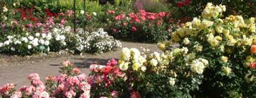 Gibt es einen hauptkontakt für botanischer garten solingen? Botanischer Garten Solingen Nrwhits