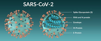 Close contact is defined as a) being within approximately 6 feet (2 meters), or within the room or care area, of a confirmed mers case for a prolonged period of time (such as caring for, living with, visiting, or. New Coronavirus Variant What Is The Spike Protein And Why Are Mutations On It Important