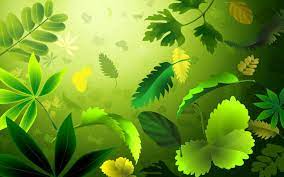 Green Leaf Wallpaper Nature Wallpaper Green Nature Wallpaper