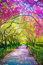Fondos De Pantalla Para Celular Iphone Android Imagenes Para Las Redes Sociales Royderpl Co Beautiful Landscapes Beautiful Nature Landscape Photography