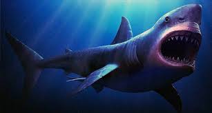 Akula Megalodon Foto V Yaponii Ot Zemli Do Neba