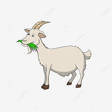 Sort pngs by downloads date ratings. Cartoon Style Hand Drawn Grazing Goat Clipart Goat Clip Art Animal Design Cartoon Png Transparent Clipart Image And Psd File For Free Download