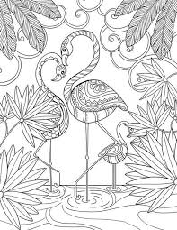 Coloriage belle fee de la foret adulte. 14 Coloriages Adultes Pour S Evader Le Blog De Maman Plume