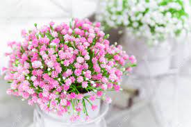 Free for commercial use no attribution required high quality images. Elements And Details Of Garden And Home Decor And Interior Artificial Stock Photo Picture And Royalty Free Image Image 118982441