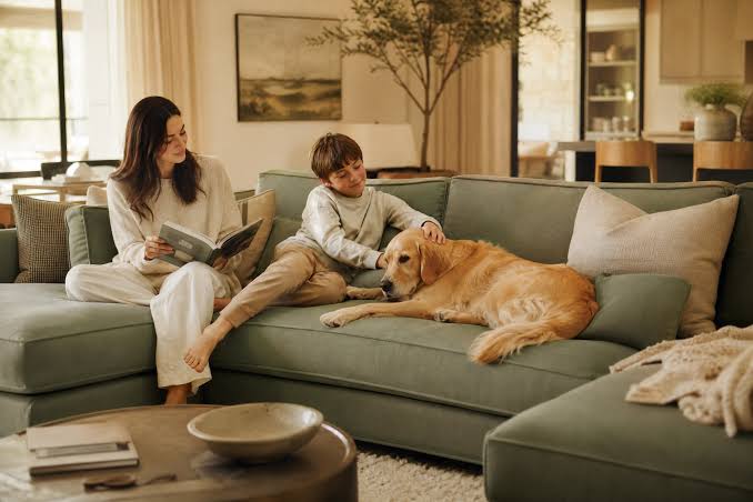 Family friendly performance fabric sofa in a Mauritian living room