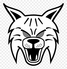 But that's actually not true. Bobcats Easy To Draw For Kids Draw A Wildcat Face Easy Free Transparent Png Clipart Images Download