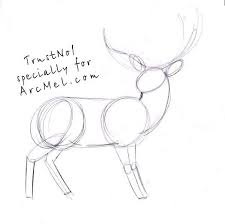 How To Draw A Deer Step By Step Deer Drawing Kids Canvas Art Drawings