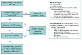 Clinical Practice Guidelines Brief Resolved Unexplained Event Brue
