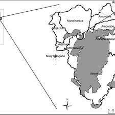 Ce document au format pdf 1. Pdf Review Of Lemurs Of Madagascar