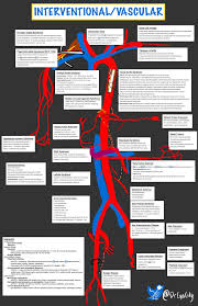 Vascular Interventional Radiology Cheat Sheet Cynthia Czawlytko Md Drcyncity Vascular Interventional Radiolo Interventional Radiology Radiology Vascular