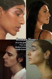 Hawk Nose and Roman Nose