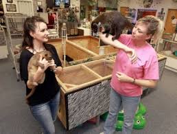 The petsway staff is here to serve you and your pet family with quality brands of pet food and supplies. Exotic Pet Supplies Near Me Online Shopping