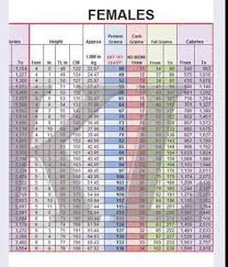 Macros Keto Macros Diet Macros Diet