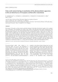 Image result for Xerophyta scabrida