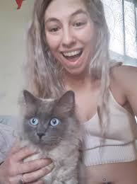 How to find a lost cat in Prattville?