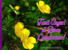 Vettore buon compleanno fiori gialli scheda di. Cdb Cartoline Per Tutti I Gusti Cartolina Tanti Auguri Di Buon Compleanno Auguri Di Buon Compleanno Buon Compleanno Immagini Di Fiori