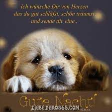 Guten abend grüße kostenlos downloaden schönen abend bilder. Fotos Von Whatsapp Guten Abend Zu Veroffentlichen 12 Liebe Deko365 Gute Nacht Gute Nacht Bilder Nacht