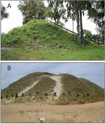 Image result for Fern Green 1994 Reliant