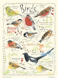 Garden Bird Print Poster Wildlife Wall Art Nature Illustrations Birdwatching Chart Nature Gift New Home Gift