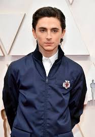 Timothee Chalamet S Wet Hairstyle At The Oscars 2020 Popsugar Beauty