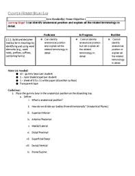 The root of a term often refers to an. Gummy Bear Dissection Lab Anatomical Terminology By Sarah Rivera