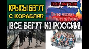 Міжнародні резерви України оновили п'ятирічний максимум - $20,8 млрд, - НБУ - Цензор.НЕТ 4635
