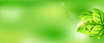 Latar belakang stok video dan rekaman bebas royalti. Download 7400 Background Daun Hijau Hd Terbaru Download Background