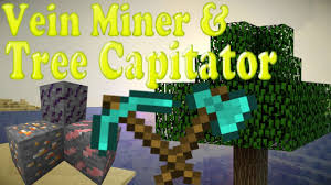 Feb 5, 2018 game version: Minecraft Bedrock Edition Vein Miner Tree Capitator Addon Download Minecraft Videos