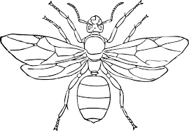 Queen Ant Clip Art Free Vector In Open Office Drawing Svg Svg Vector Illustration Graphic Art Design Format Format For Free Download 131 21kb Draw a ant standing up. queen ant clip art free vector in open