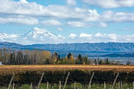 The striking landscapes are equaled by scrumptious wine and cuisine, making mendoza an oasis for a luxurious and elegant. Argentina S Wine Country Buenos Aires Mendoza 4 Days Kimkim