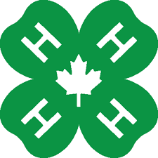 615.87 kb, 1216 x 1668. 4 H Ontario Learn To Do By Doing