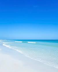 Warmer Water Temperatures Already Have Effect On Sarasota Bay | Your  Observer