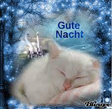 Guten nachmittag guten morgen gute nacht lustige babybilder lustige bilder gästebuch bilder abend bilder erdbeer rhabarber pie nachmittags grüße. Gute Nacht Bilder Kostenlos Katzen Gb Bilder Gb Pics Gastebuchbilder